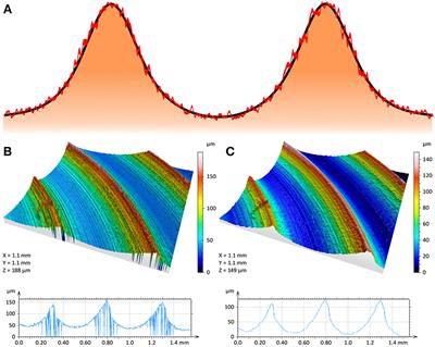 Scratching the Surface—How Decisive Are Microscopic Surface Structures on Growth and Performance of Electrochemically Active Bacteria?